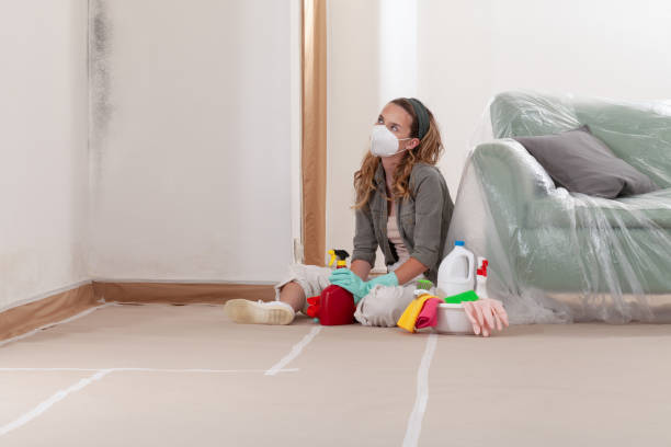 Reliable Mold Inspection contractor in Clermont, FL by WQB Mold Removal